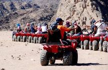 Bedouin Dinner Tour In Sharm El Sheikh (Quad Bike & Camel Ride) 