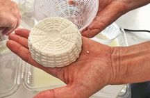 Cheesemaker for a day & visit to the dairy