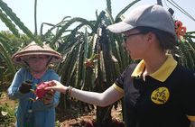 Ho Coc Beach - Nature Reserve and Dragon-fruit Farm trip with home-cooked lunch