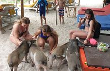 Half-Day Pig Island & Snorkeling Experience