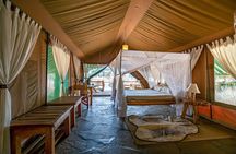 3 Days Masaai Mara budget safari