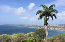 VIP Inclusive Private Tour of Island (Lunch, Drinks + Snorkeling)