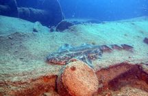 2 Dive Package for PADI Qualified Divers in Gran Canaria
