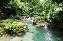 Reach Falls Adventure Tour from Port Antonio