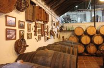 Sun and Wine Route - Small group, wine tasting and tapas included