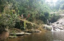 Waterfall Jungle Jeep Adventure and Cachaca Tour from Paraty