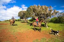 Private Advanced Trail Ride