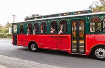 Fredericksburg City Trolley Tour