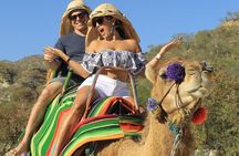 Camel Ride in the Canyon + Thrilling Water-Slides & Snacks