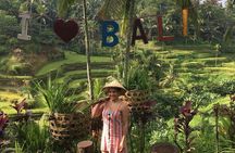 Point View of Kintamani Vulcano and Ubud Tour