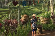 Point View of Kintamani Vulcano and Ubud Tour