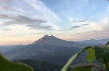 Point View of Kintamani Vulcano and Ubud Tour