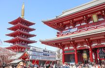 Asakusa Cultural Walk & Matcha Making Tour