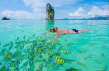 4 Islands By Speed Boat from Krabi