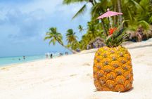 Saona Island Tour Private Tranportation
