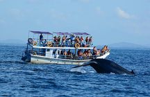 13-Day Sri Lanka Wildlife Adventure by Aaliya Tours