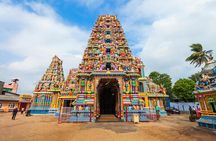 Sigiriya Day Tour & Trincomalee Drop With Holiday Walkers Sri Lanka
