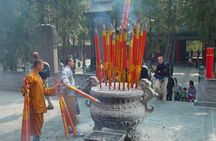 Private Day Trip from Xian to Luoyang by High-speed Train