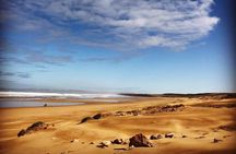 Walk to the cascade and marabout of Sidi Mbark & for a tea to Kaouki.