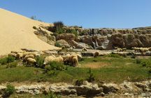 Walk to the cascade and marabout of Sidi Mbark & for a tea to Kaouki.