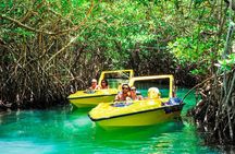 Jungle Tour with Snorkel in Cancun