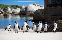 South Africa , Cape Town, Nelson Mandela Gateway & Cape Peninsula Penguin Tour