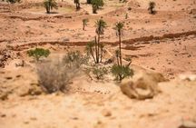 The three desert and mountain oases
