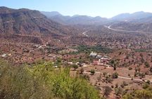  1 day trip to the local berber village + Tagine cooking class