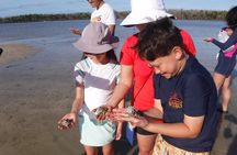2-hour Shelling Boat Tour in the 10,000 Islands