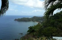 Birdwatching, Waterfall, Rainforest and Island Nature Tours