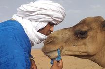 2 days Sahara erg Lihoudi departure from Agadir