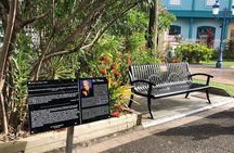 Fort-de-France Food Tasting and Cultural Walking Tour