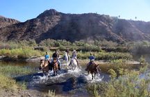 Authentic horseback riding in beautiful La Mision