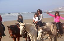 Authentic horseback riding in beautiful La Mision