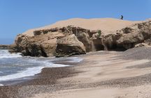 Cape Sim & Sidi Kaouki Hike - 15 km