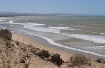 Cape Sim & Sidi Kaouki Hike - 15 km