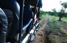 Mikumi National Park(3Days)