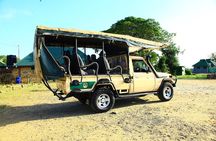 Mikumi National Park(3Days)
