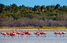 Nature Combo Oviedo Lagoon & Bahia de las Aguilas