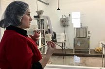 Rockland Lunchtime Culinary Walking Tour