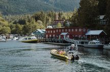 Vancouver Island Zodiac Whale Watching Adventure - Telegraph Cove