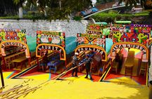 Xochimilco, Coyoacán and Frida Kahlo Museum Private Tour