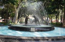 Xochimilco & Coyoacan with Frida Kahlo Private Tour