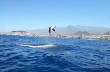 Tenerife by Kayak Adventure in small group 