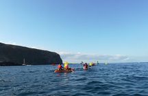 Tenerife by Kayak Adventure in small group 