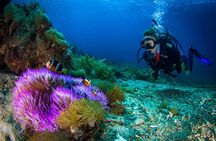 Two boat dives trip
