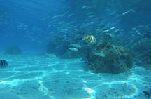 PRIVATE HALF DAY CULTURAL & LAGOON TOUR - Bora Bora Cultural Lagoon Tour