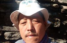 annpurna base camp trekking 