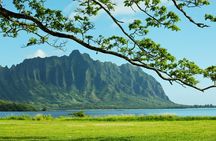 Private Green and Blue Circle Island Oahu Tour (se habla espanol)