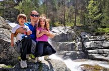 Excursion Aigüestortes - Estany Llebreta (1/2 day)